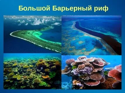 Большой барьерный риф в австралии презентация