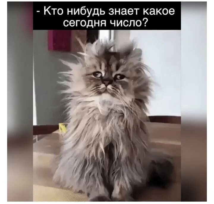 Кто нибудь знает его