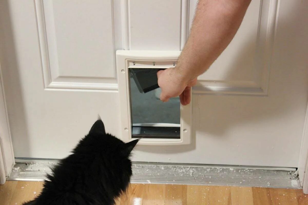 Закрыть кота