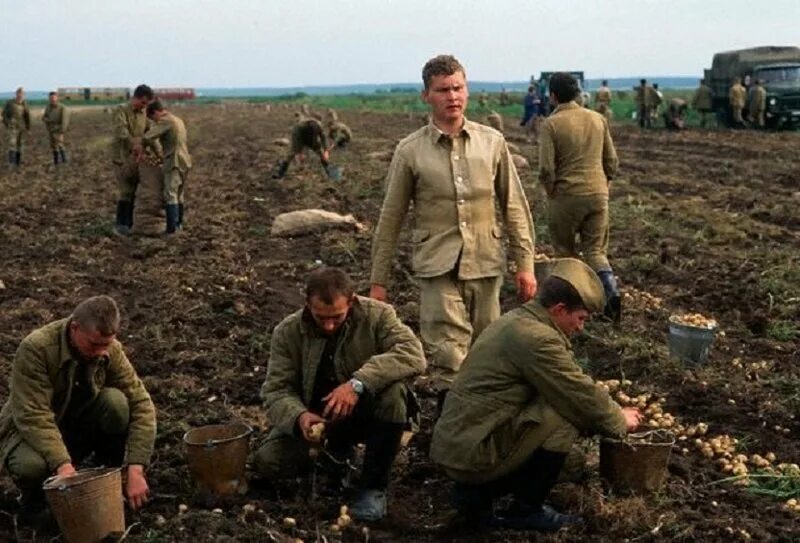 Военные 90 х годов. Российская армия в 90-е годы. Армия 90х. Российская армия в 1990-е годы. Советская армия на уборке урожая.