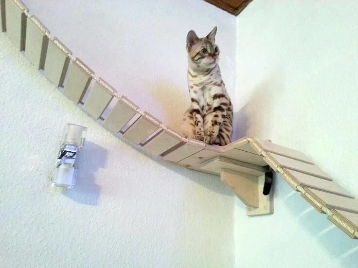 Cat playground