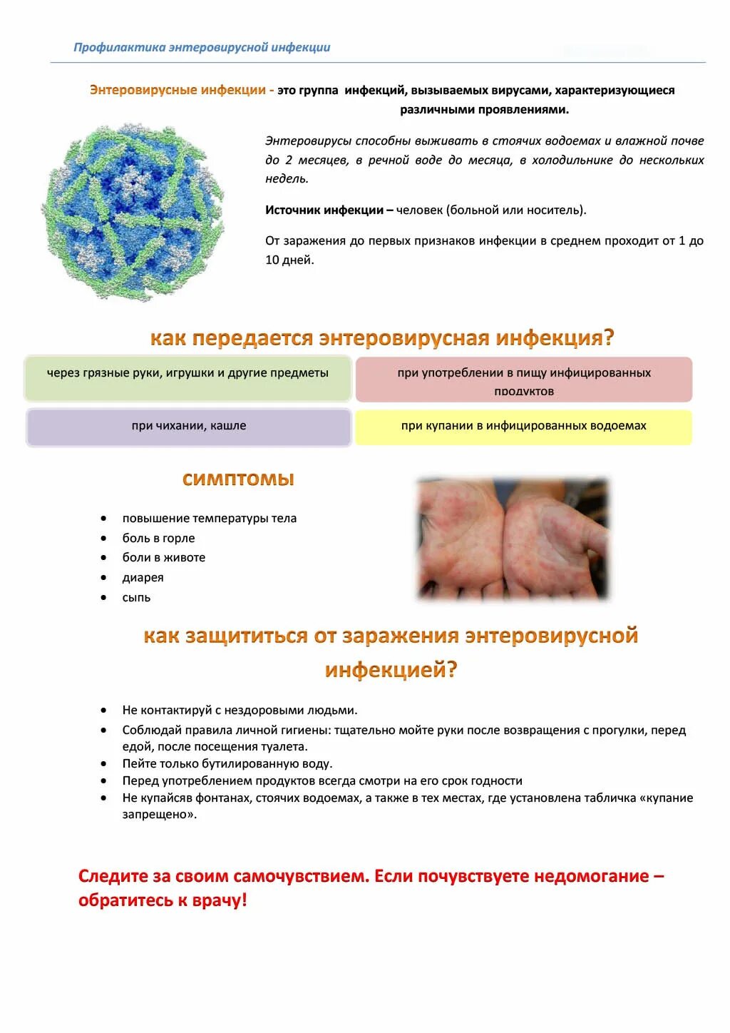 Вирусная сыпь энтеровирус. Патогенез энтеровирусной инфекции сыпь. Энтеровирус Коксаки сыпь. Обследование на энтеровирусные