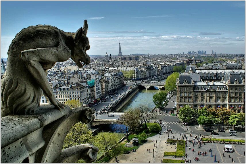 Химеры собора парижской богоматери. Колючие аниме волосы для парней. Сад химер. Собор парижской богоматери статуи. Католический собор гаргульи.