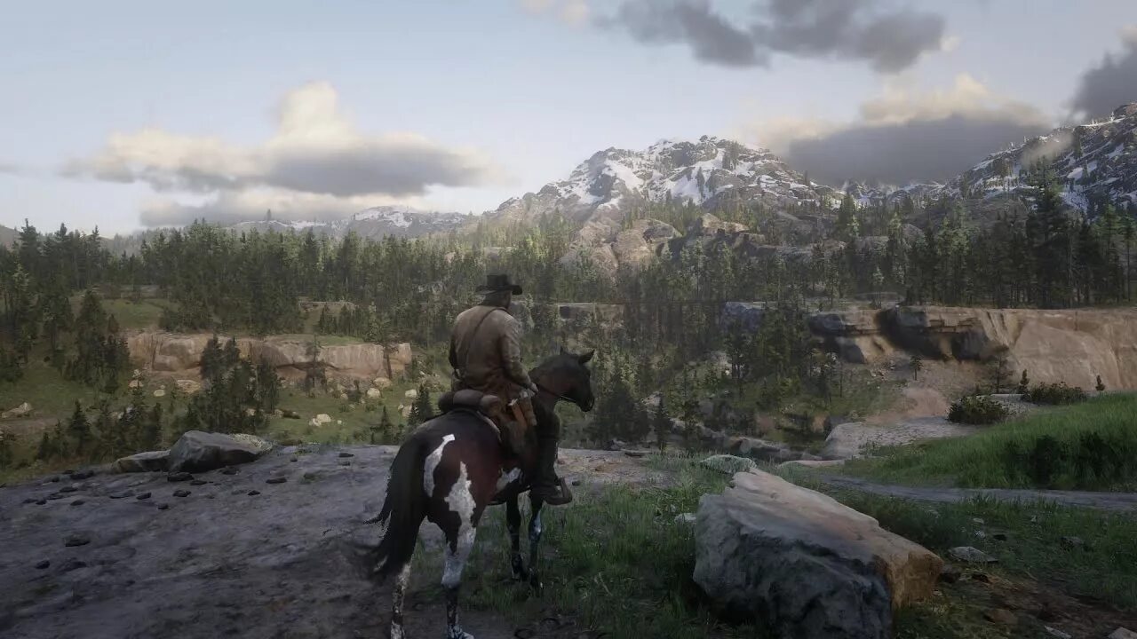 Rdr offline