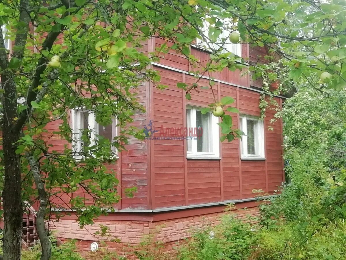 А пери садоводство фото. Погода пери ленинградская область. Погода пери ленинградская область. Пери ленинградская область. Пери ленинградская область.