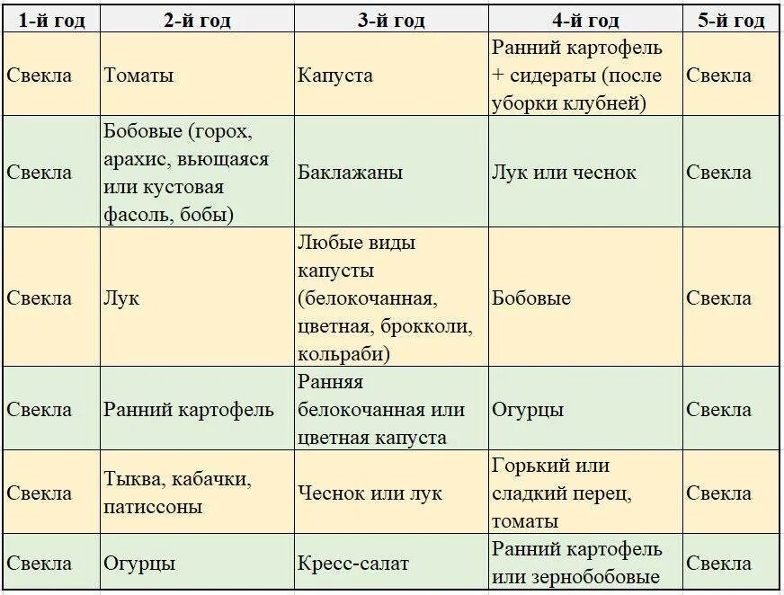 Можно ли садить помидоры после огурцов. Что сажать после свеклы. что сажать после свеклы на следующий год. что можно сажать после свеклы и моркови на следующий год. что можно сажать после свеклы на следующий год.