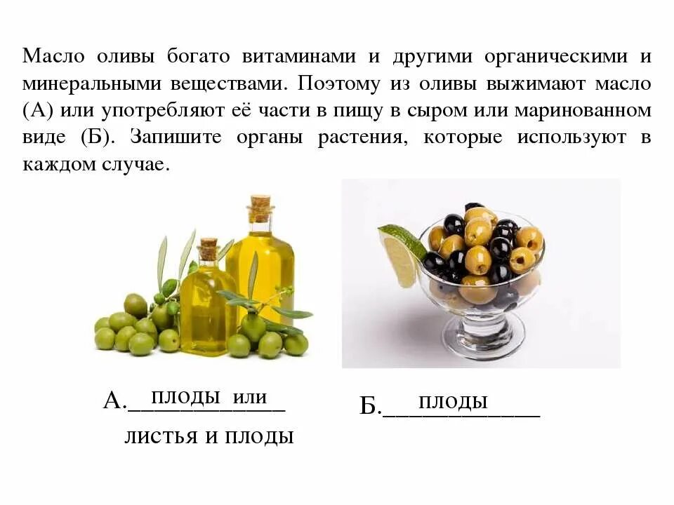 Оливковое масло сколько употреблять в день. Маслины оливки витамины. Оливковое масло витамины. Оливковое масло витамины и минералы. Оливковое масло полезные вещества.