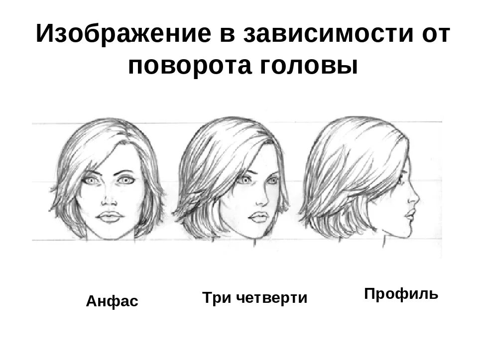 положение головы в портрете. рисование головы. положение головы в портрете. анатомия человека референс головы. положение головы в портрете.