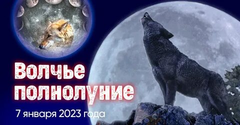 Волчье полнолуние 2024