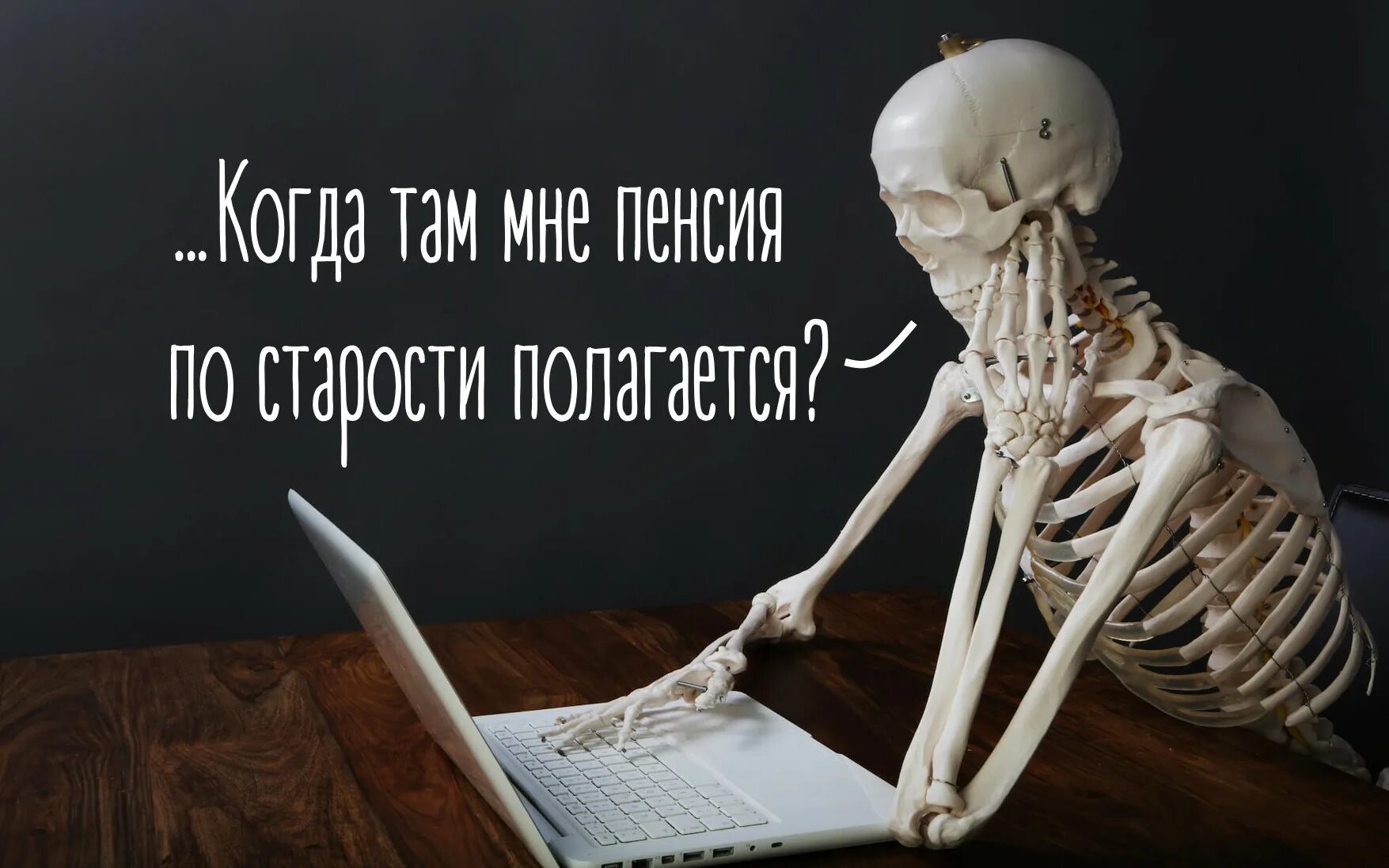 Досрочный вариант егэ биология алены 2022. Скелет на скамейке. Ждем биологию. Значок ждуна. Региональный этап всош.