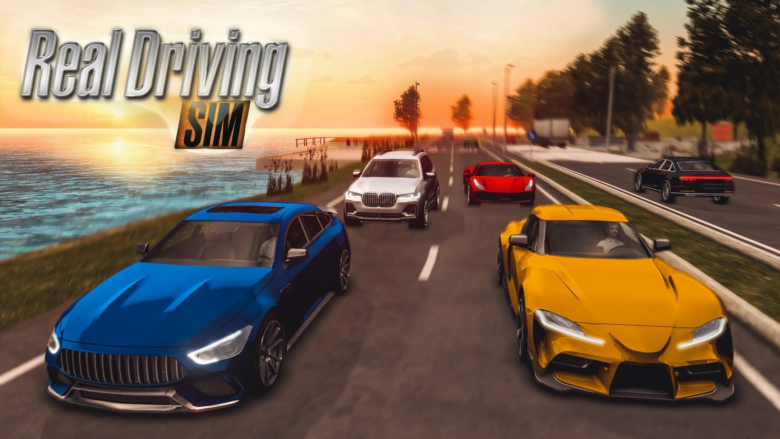 Real driving simulator много денег