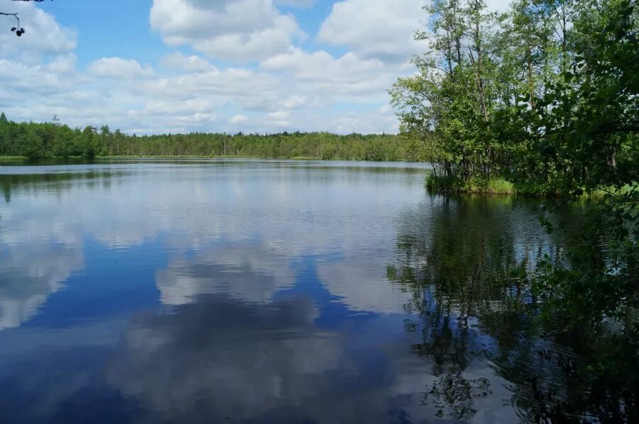 Лукино балахнинский район нижегородская область