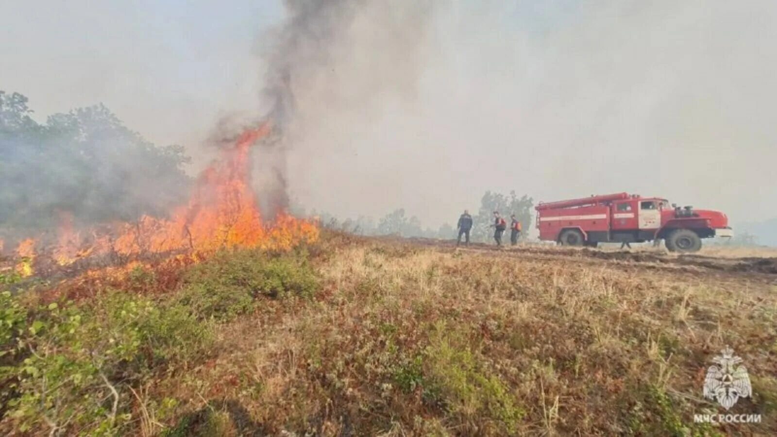 Пожары. Лесные пожары. ЧС пожар. Пожар в поле.