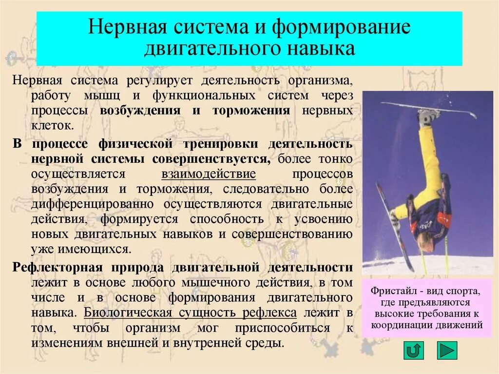 Формирование двигательного навыка. Процесс формирования двигательного навыка. Механизмы формирования двигательных навыков. Формирование и совершенствование двигательного навыка..