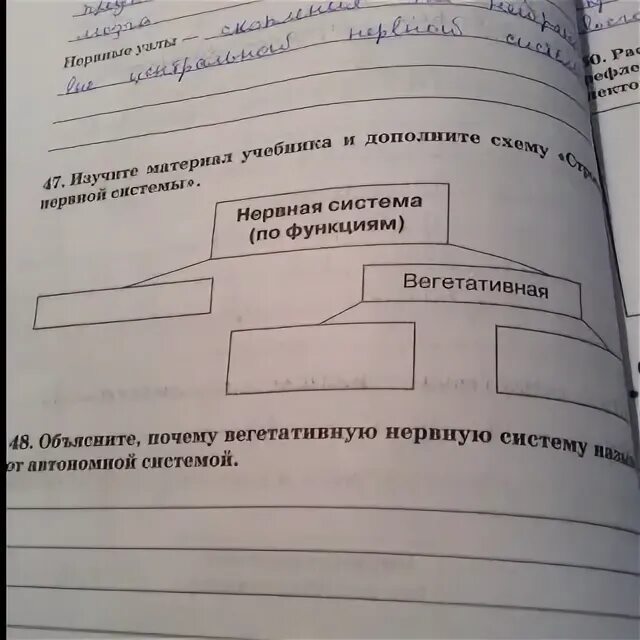 Составьте и заполните схему значение нервной системы. Заполните схему строения нервной системы. изучите материал учебника и дополните схему строение нервной системы. составьте и заполните схему значение нервной системы 8. заполните схему отражающую структуру нервной системы.