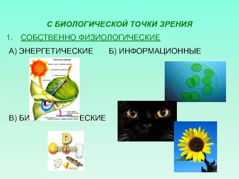 Как объяснить это с биологической точки зрения. Биологическая точка зрения. Схема фотобиологического процесса. Схема фотобиологические процесс зрение. Фототаксис фотобиологических процессов.