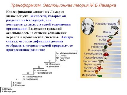 Зарождение эволюционных представлений
