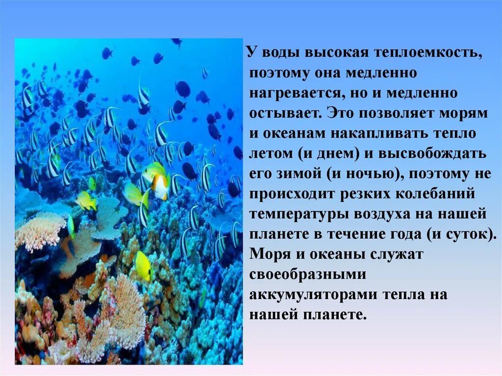 Теплоёмкость воды в природе. Медленно нагревается и медленно остывает. Вода обладает высокой теплоемкостью. Теплоемкость воды это в биологии.