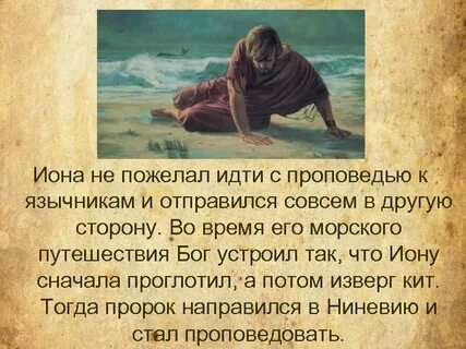 Про иона