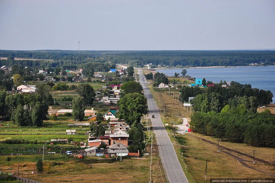 Плотниково алтайский край