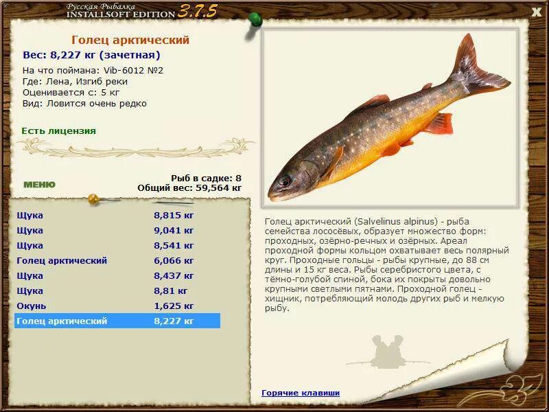 красноперка реальная рыбалка. реальная рыбалка рыбы. игра рыбалка на реке. братское водохранилище реальная рыбалка. карп зеркальный реальная рыбалка.