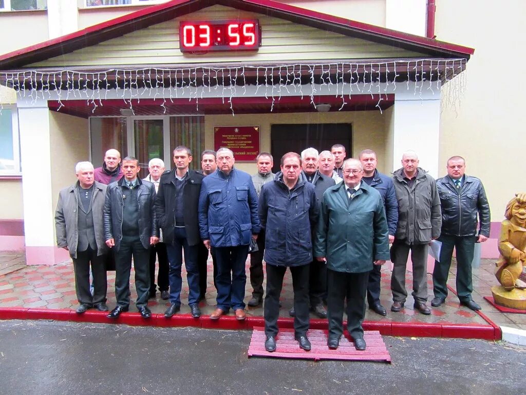 гомельское лесничество