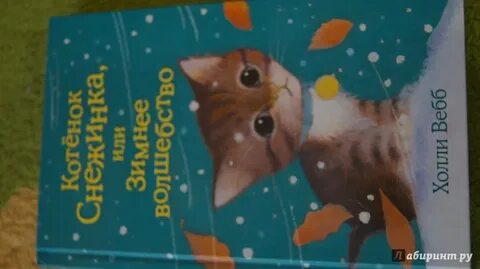 Котенок снежинка