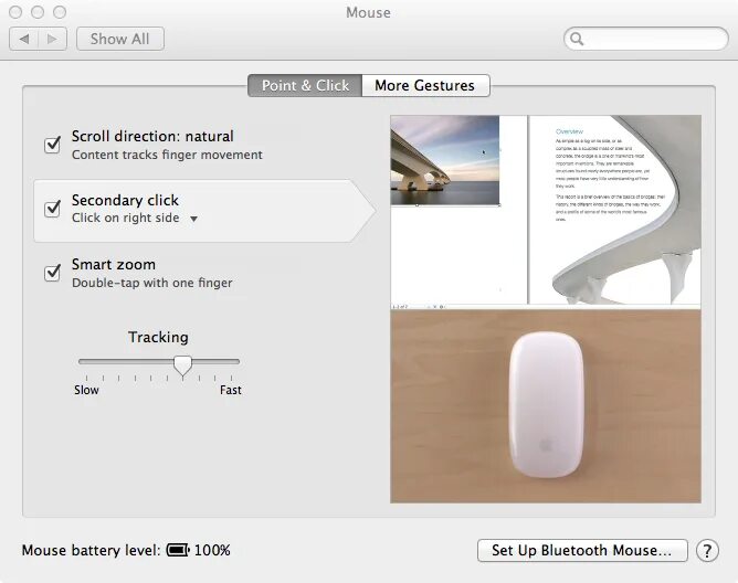 Apple mouse windows. Apple mouse windows