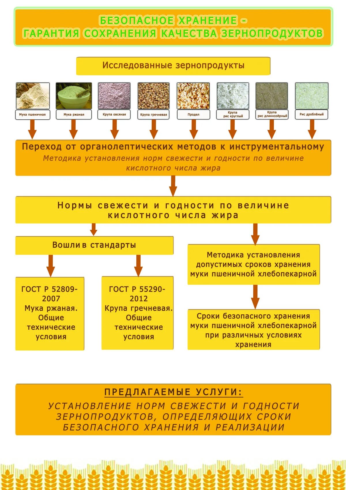 Определение качества зерна. Контроль качества зерна. контроль качества при хранении зерна. методы контроля качества зерна. прибор для измерения класса зерна и зернопродуктов.