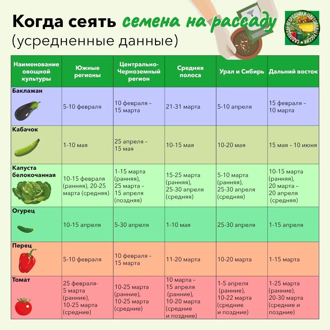 Какие семена надо сажать. Таблица высадки овощей на рассаду. Когда садить рассаду перцев на рассаду. Пересадка рассады томатов в грунт таблица. Когда сеять семена на ра.