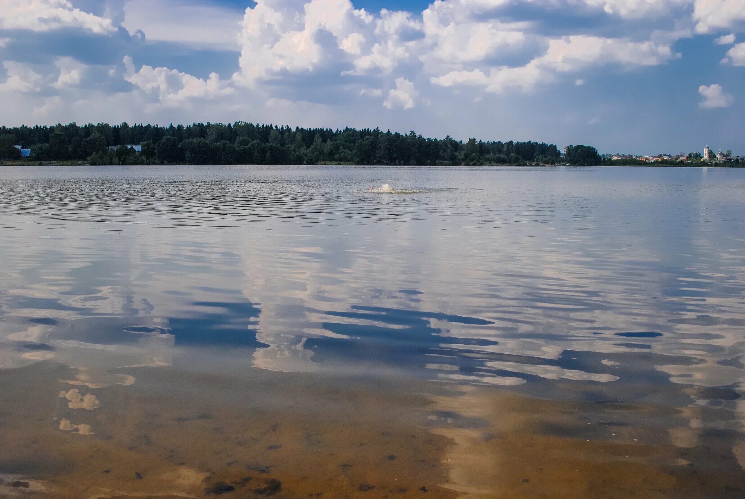 Бисеровское озеро ногинск. Бисерово озеро купавна. Бисеровское озеро купавна. Бисерово озеро московская область. Озеро бисерово балашиха.