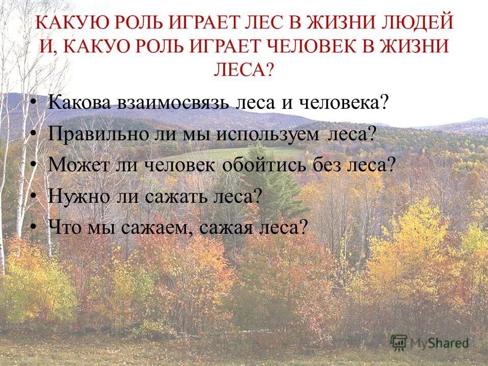 Роль леса в жизни человека. Какую роль играет лес. Какую роль лес играет в жизни. Какую роль играет лес в жизни человека.