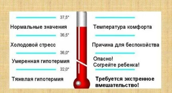 Нормальная температура 1 триместр. Высокая температура но нормальное состояние.