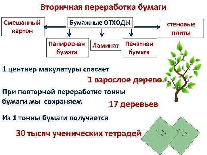 Этапы переработки бумаги. Переработка использованной бумаги. Этапы переработки макулатуры. Стадии переработки макулатуры. Способы переработки и преимущества