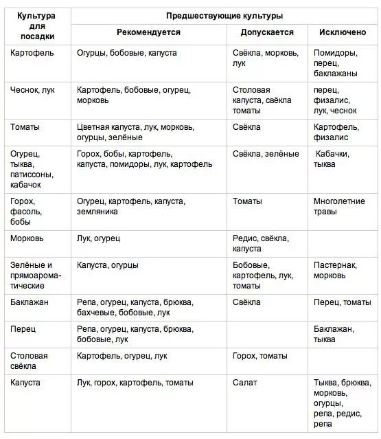 После каких культур можно сажать лук