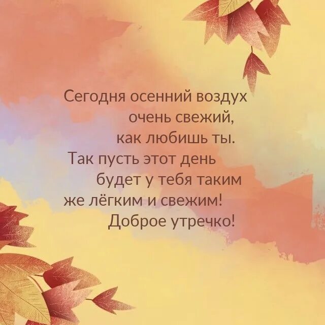 Осенний воздух свеж. Картинки про осень очень красивые. С добрым утром осенние картинки с пожеланиями своими словами. Слова для подписчиков милые добрые осени. Доброе утро картинки новые очень красивые осенние.