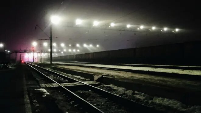 Станция лось электрички. Платформа Лось. Поезд Лось станция. Станция Лось Москва.