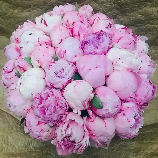 Bouquet of peonies,Cupid, 19500 RUB, delivery in 2 h Flowwow - flower delivery V