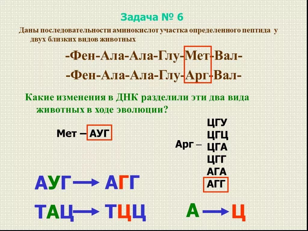 Ала ала ала восточная. Задачи на последовательность аминокислот. Аминокислотная последовательность. Как определить последовательность аминокислот. Глу-АРГ-ала.