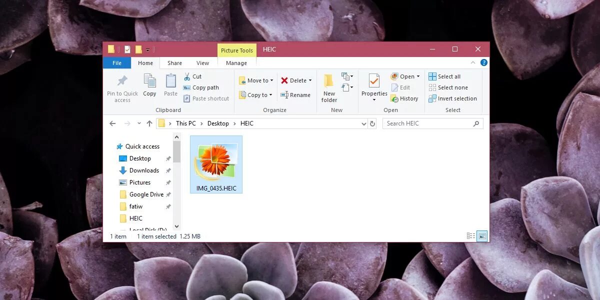 Heic image viewer. Программа для просмотра heic. просмотр фотографий heic. приложение для виндовс 10 открыть фото в heic. файл heic чем открыть.