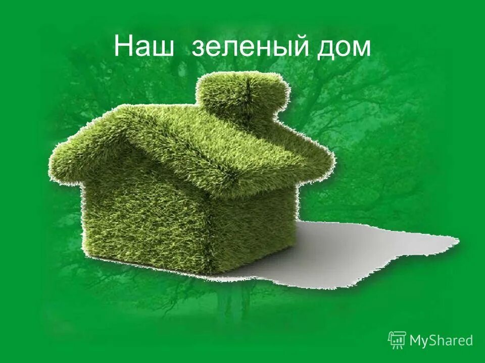 Зеленый дом майкоп. Садовый центр. Садовый центр логотип. Ооо зеленый дом. Компания зеленый дом.