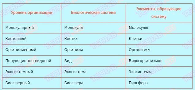 Элементы образующие молекулярную систему. Уровни организации биологическая система элементы образующие. таблица уровень организации элементы образующие систему. таблица уровни организации биологическая система и элементы об. биологическая система молекулярного уровня организации.