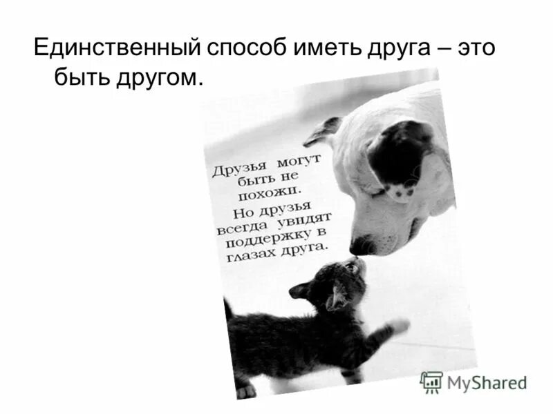 Молодая и пожилая женщины. Друзья мальчики. Демотиваторы про друзей смешные. Пожилые и молодые люди. Дружба ссора.