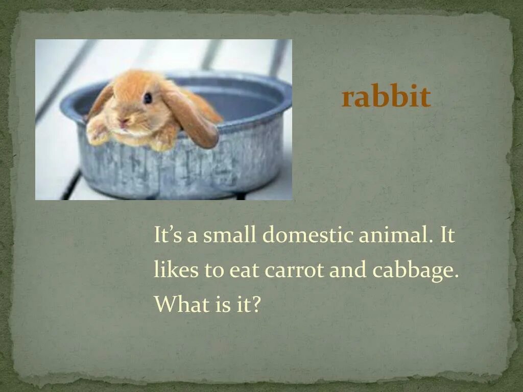 Rabbit poem. Rabbit перевод на русский язык. It is перевод. Rabbit перевод на английский язык. Переделайте предложения pam has got a rabbit.