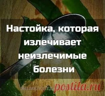 Император думает что я неизлечимо больна