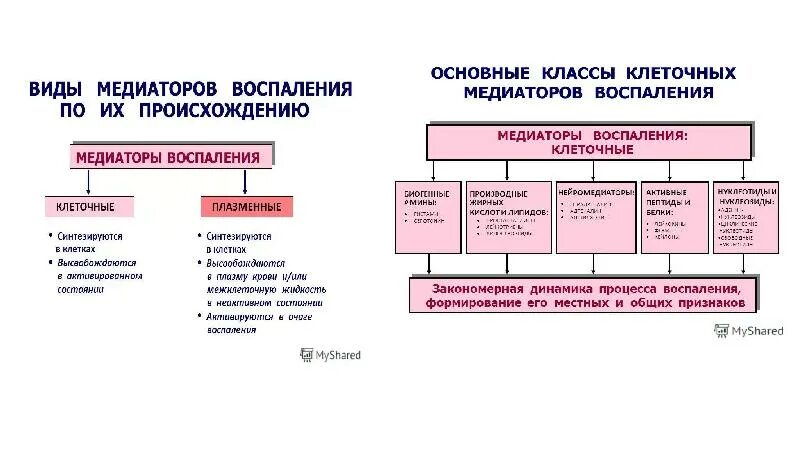 Клеточные медиаторы воспаления. Клеточные и плазменные медиаторы воспаления. Классификация медиаторов воспаления. Медиаторы воспаления клеточного происхождения. Основные клеточные медиаторы воспаления.