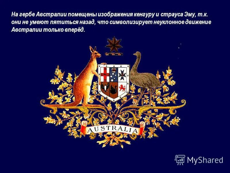 герб австралийского союза. кенгуру на гербе австралии. символика герба австралии. гос герб австралии. кто изображен на гербе австралии.