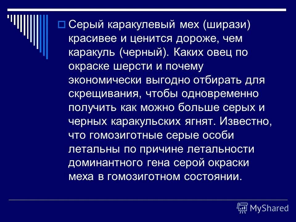 Аллель а определяет черную окраску шерсти. Ген летальной серой окраски каракульских овец. ширази окраска шерсти. у каракулевых овец ген вызывающий развитие признака ширази.