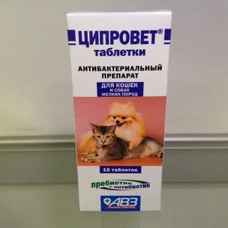 Антибиотики кошкам при инфекции