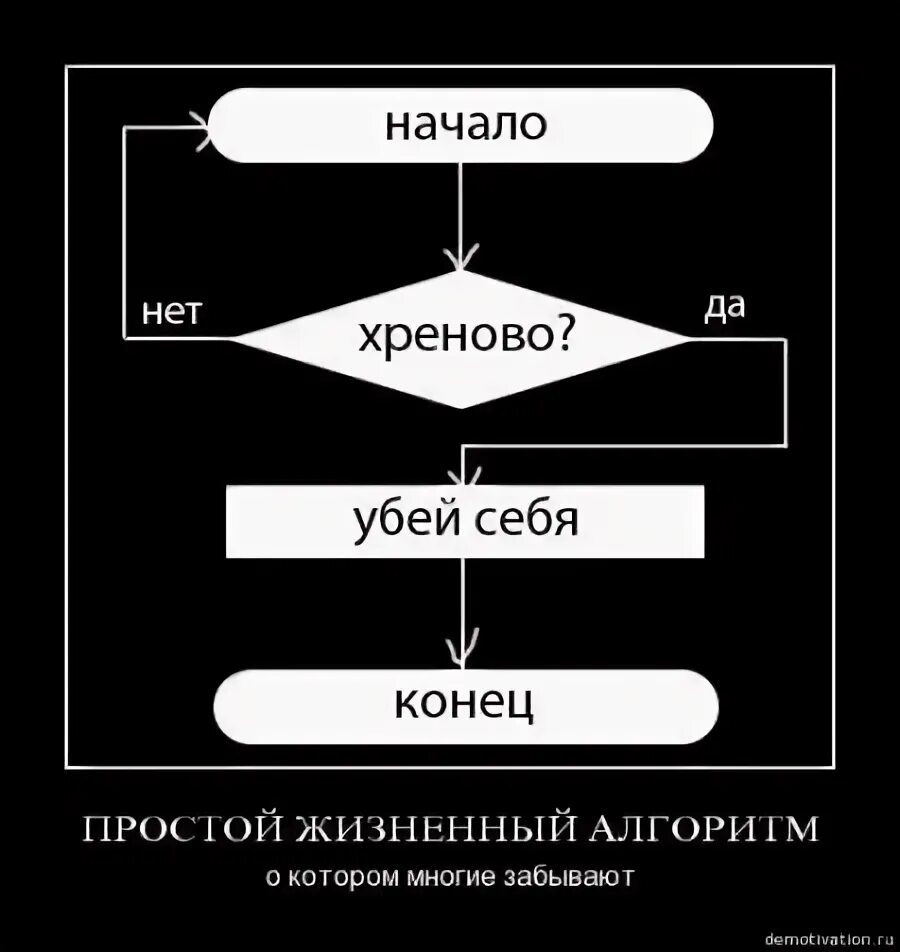 Алгоритм жизненной ситуации. Жизненный алгоритм.